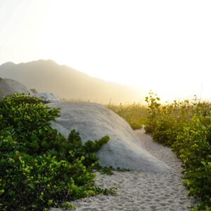 Sendero de playa en el Parque Nacional Tayrona