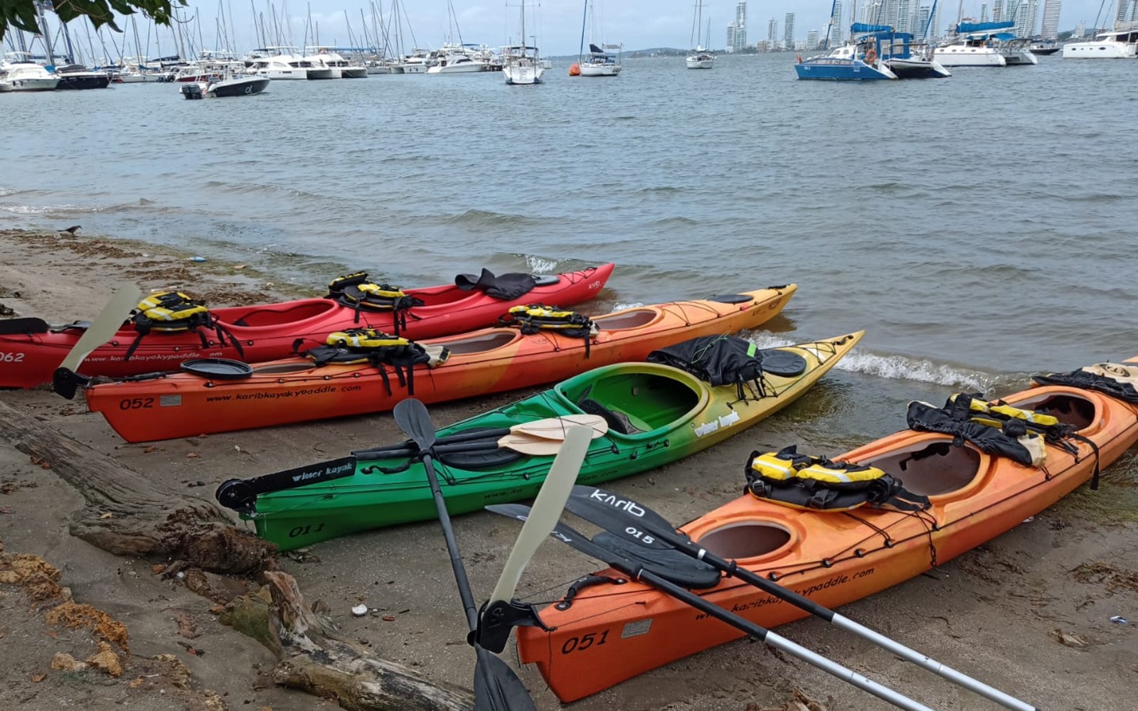 City tour en kayak — Cartagena