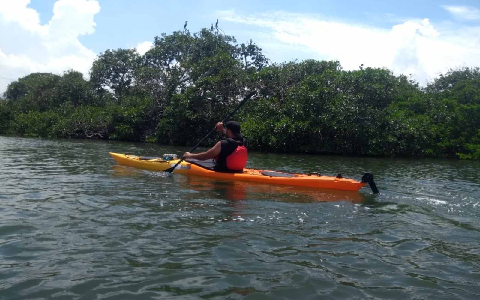 City tour en kayak — Cartagena