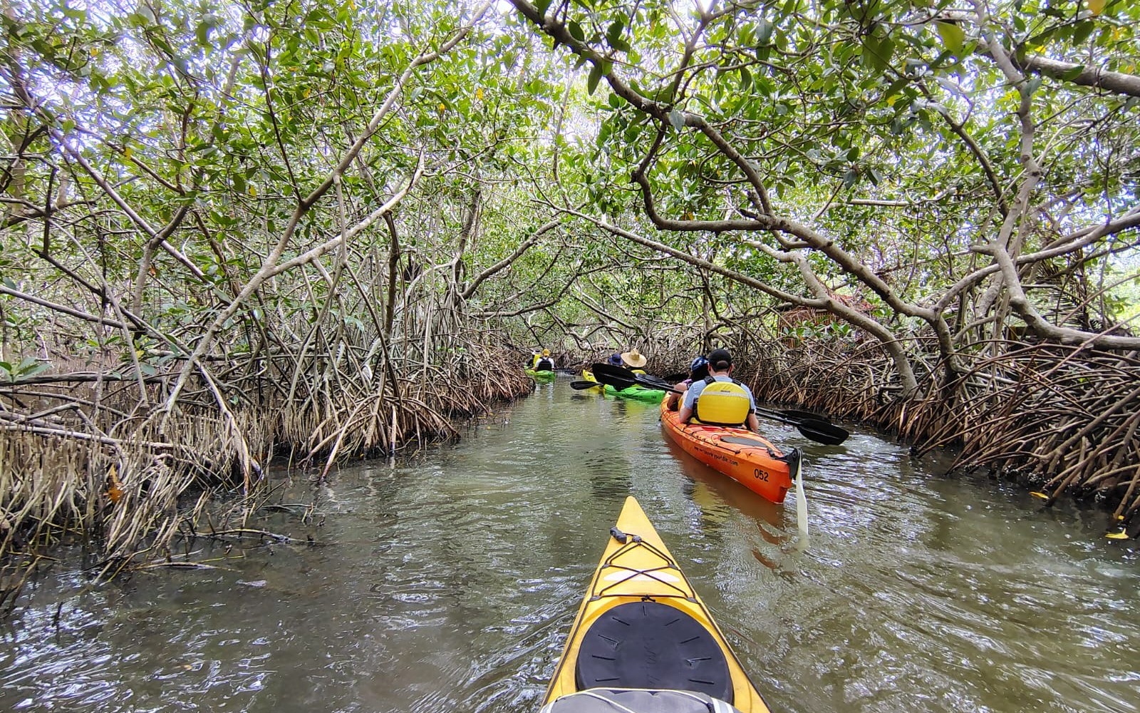 Kayak por los manglares de La Boquilla — Cartagena