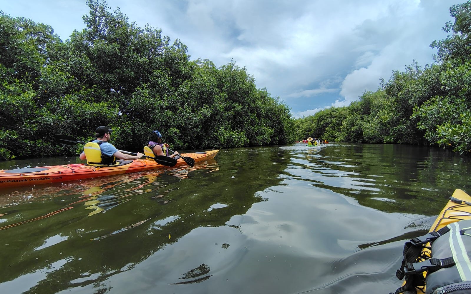 Kayak por los manglares de La Boquilla — Cartagena