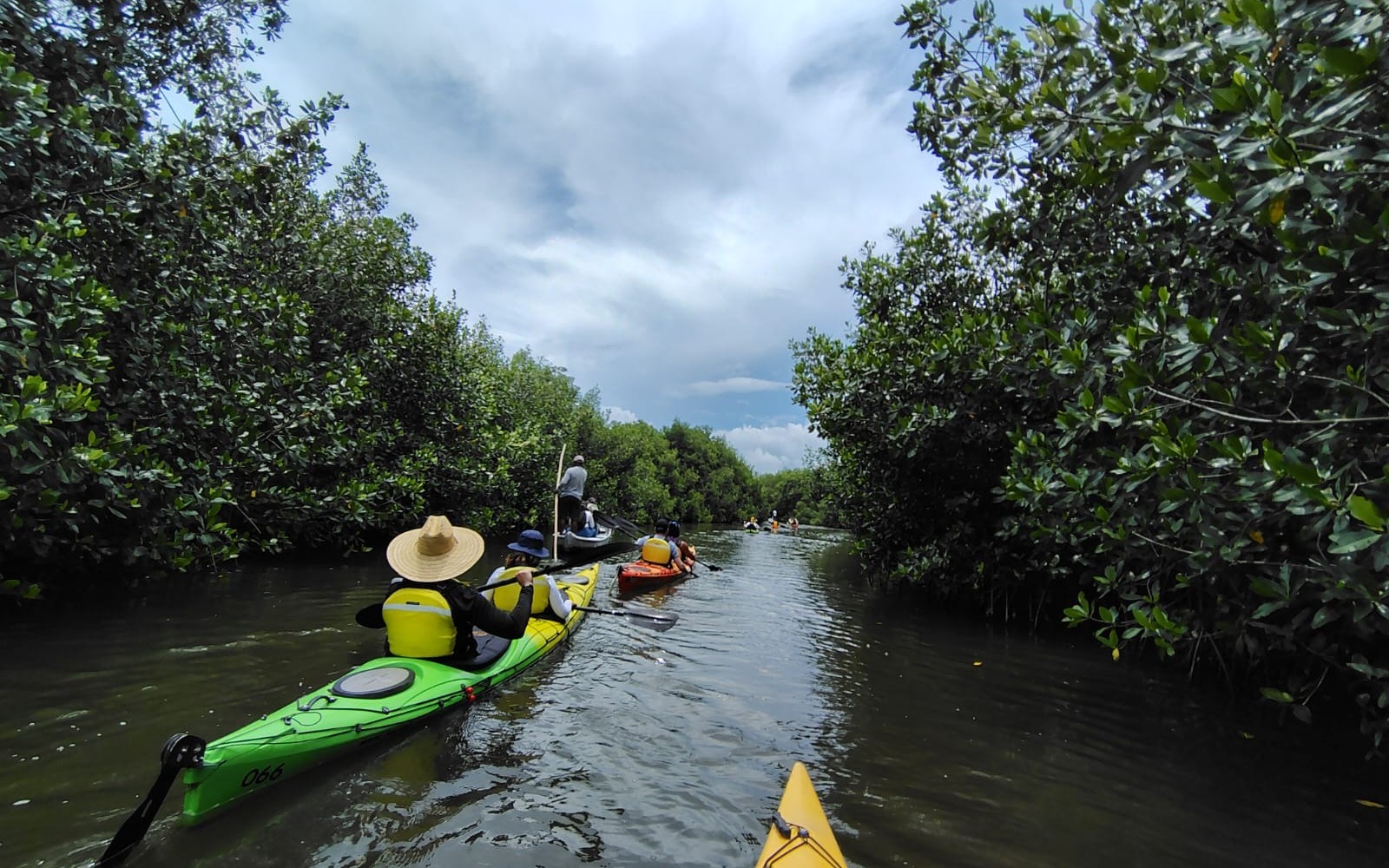 Kayak por los manglares de La Boquilla — Cartagena