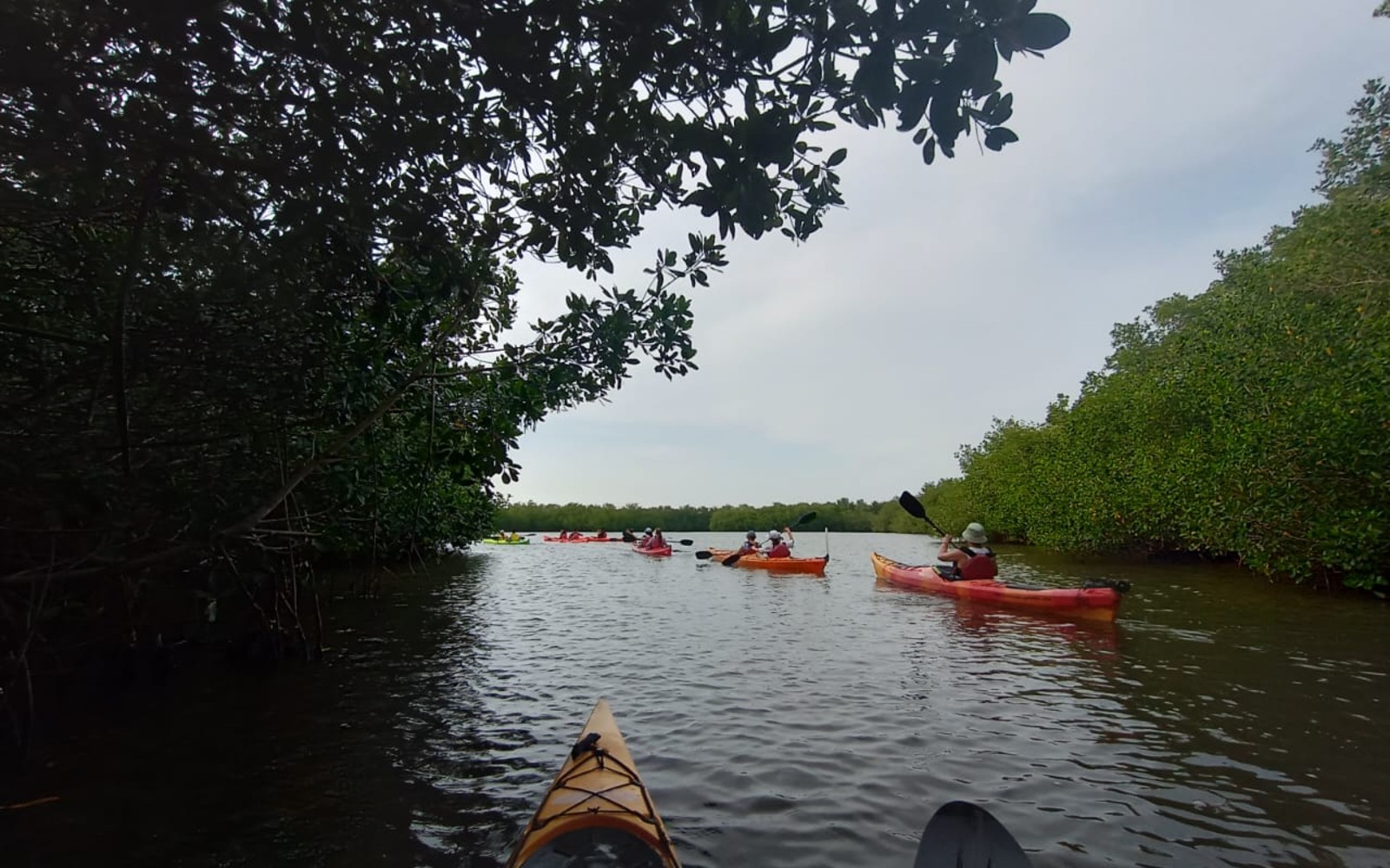 Kayak por los manglares de La Boquilla — Cartagena