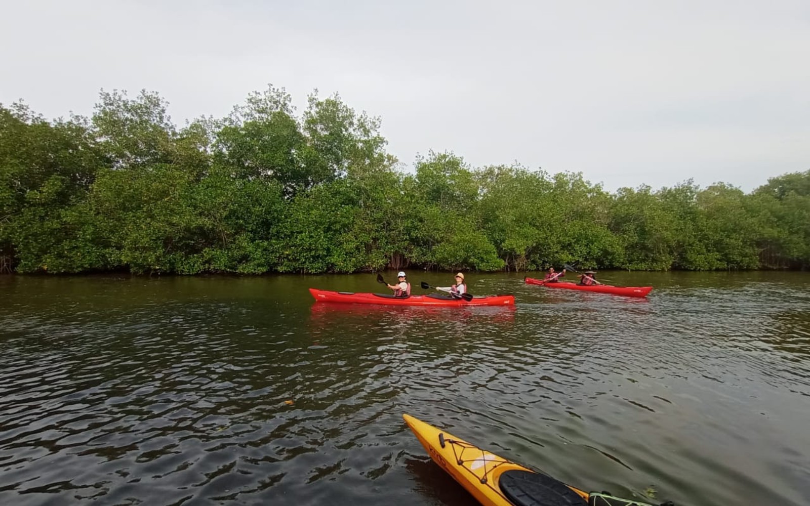 Kayak por los manglares de La Boquilla — Cartagena