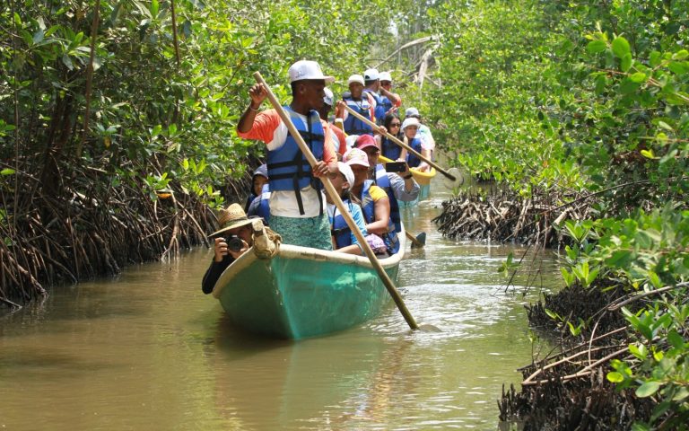Manglares de Ararca, isla de Barú — Cartagena