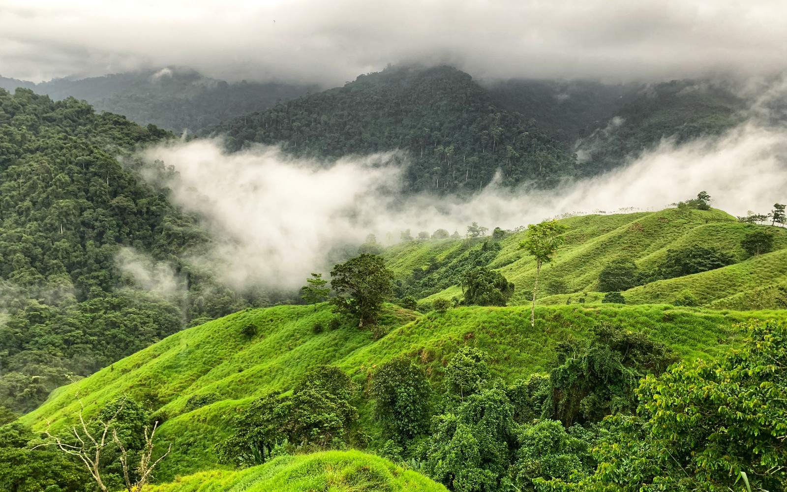Tour a Ciudad Perdida — Santa Marta