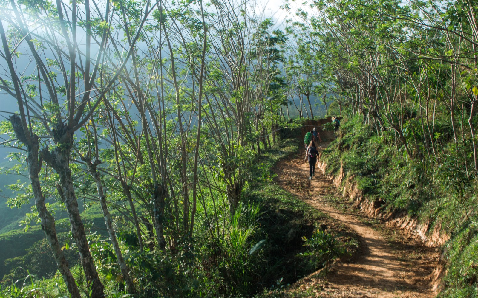 Tour a Ciudad Perdida — Santa Marta