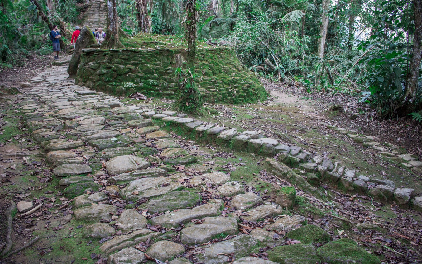 Tour a Ciudad Perdida — Santa Marta