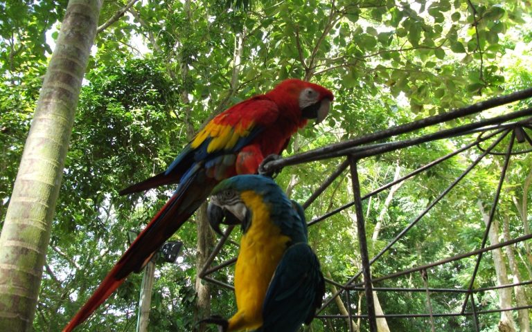 Jardín Botánico Guillermo Piñeres — Cartagena